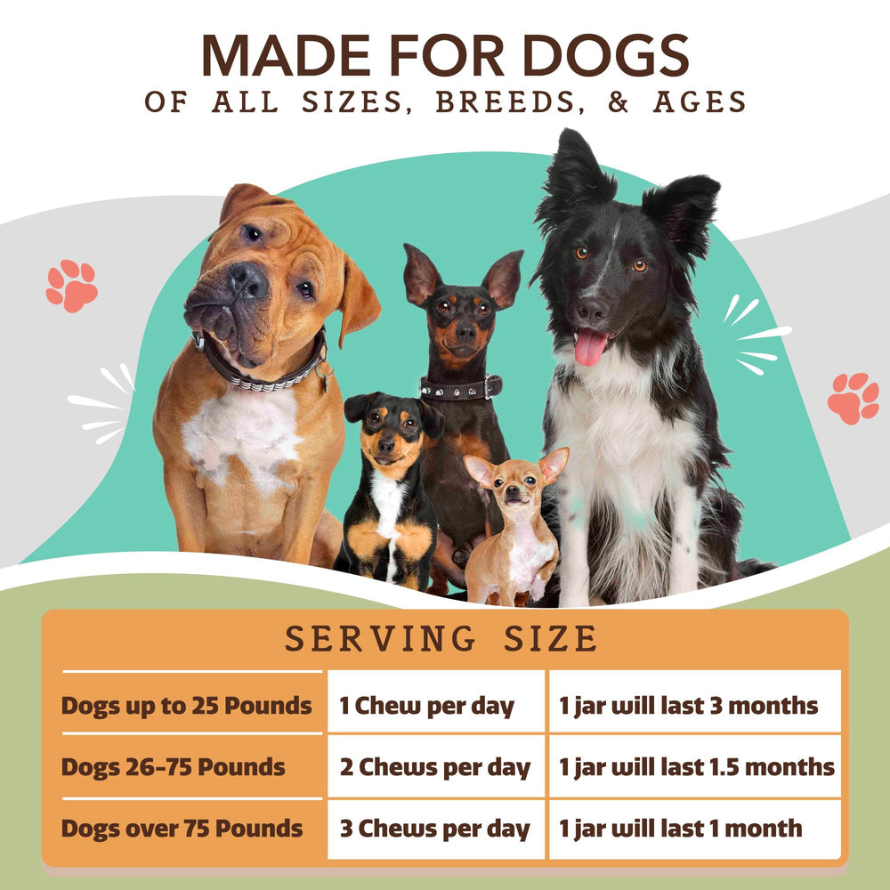 Natural Dog Company hip-joint chew on scale, suggesting measured daily portions.