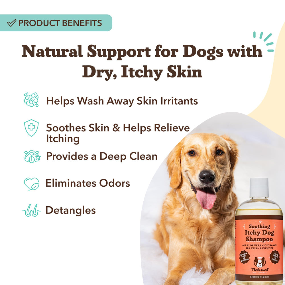 Natural Dog Company itchy dog shampoo lather demonstrating gentle cleansing.
