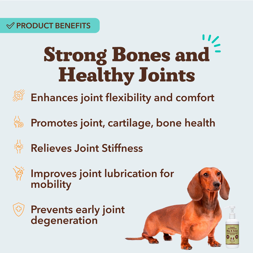 Natural Dog Company Liquid Glucosamine bottle next to dog food for easy daily use.