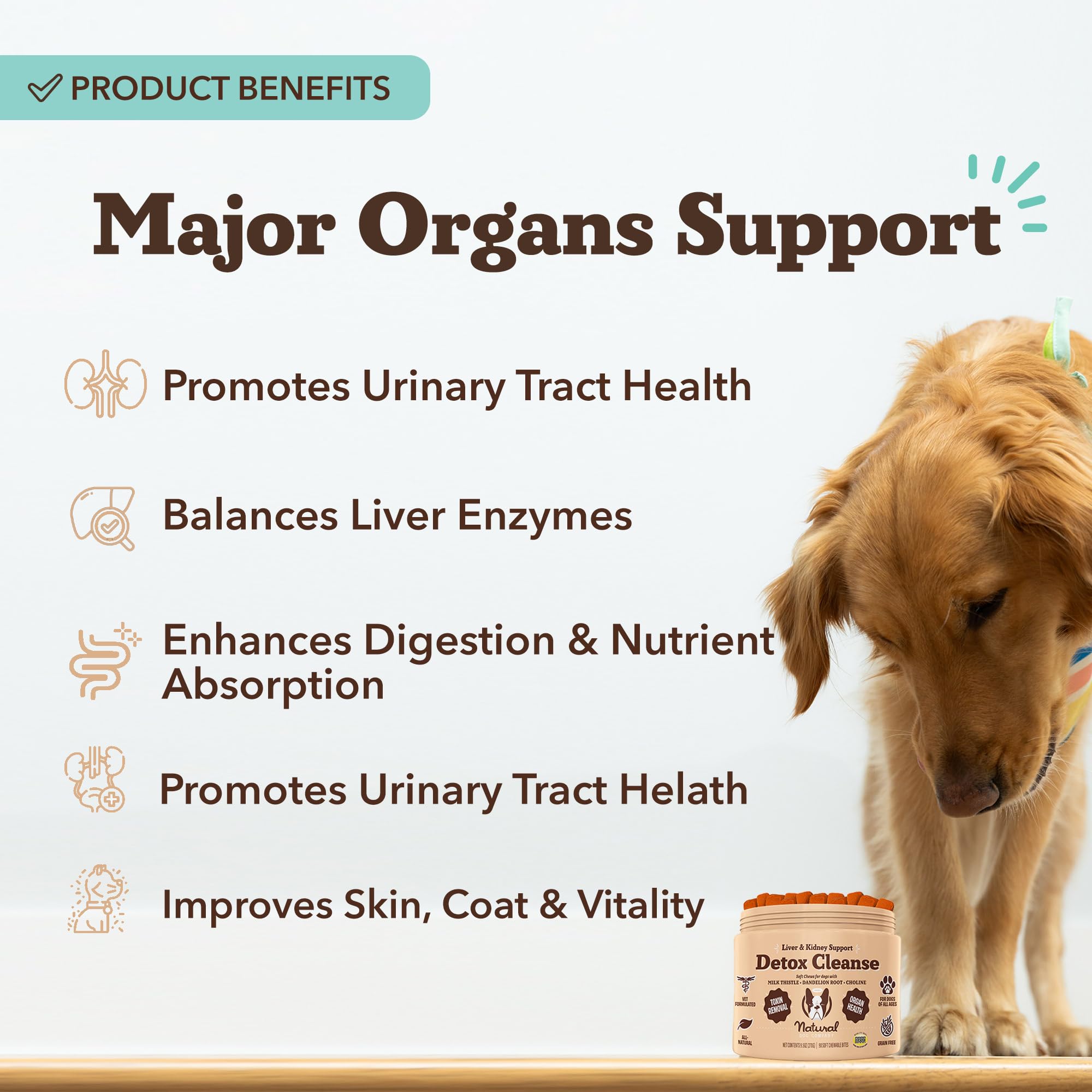 Close-up of Natural Dog Company liver-kidney soft chews showing chewy texture and appeal.