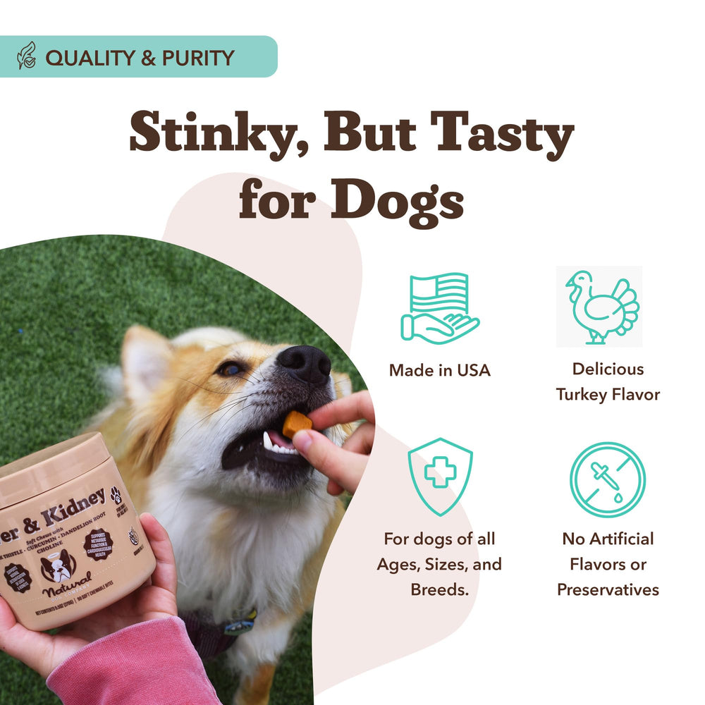 Large dog dosage concept for Natural Dog Company liver-kidney soft chews.