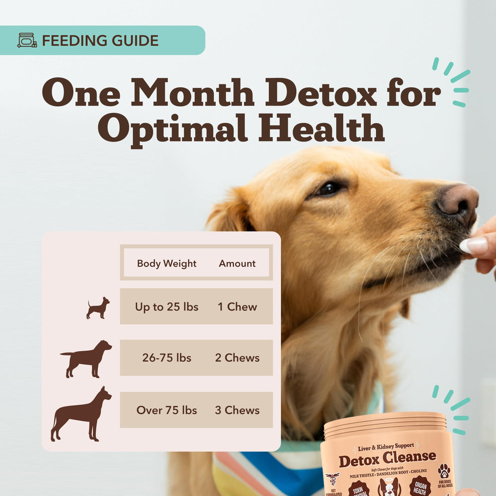 Small dog dosage of Natural Dog Company liver-kidney soft chews.