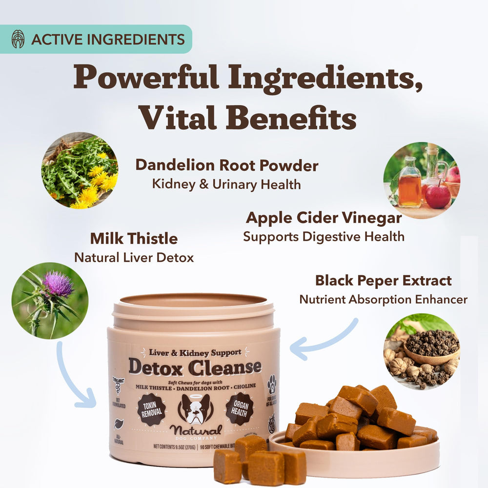 Label close-up of Natural Dog Company Liver & Kidney soft chews highlighting ingredients.