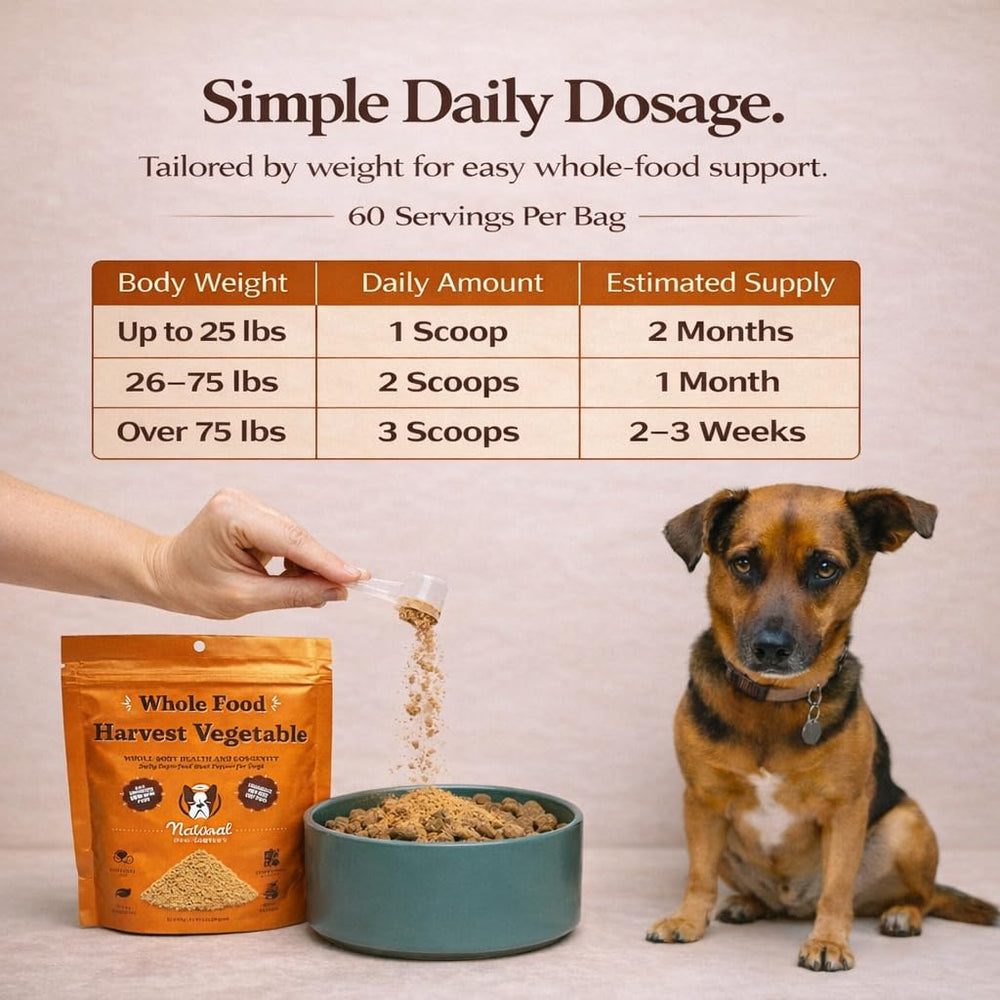 Natural Dog Company Meal topper in action, easing mealtime for dogs.