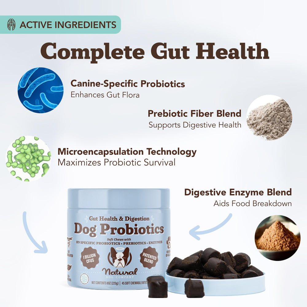 Natural Dog Company microencapsulation technology graphic emphasizes stomach acid protection.