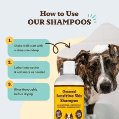 Natural Dog Company oatmeal shampoo after-bath scene with a happy, shiny-coated dog.