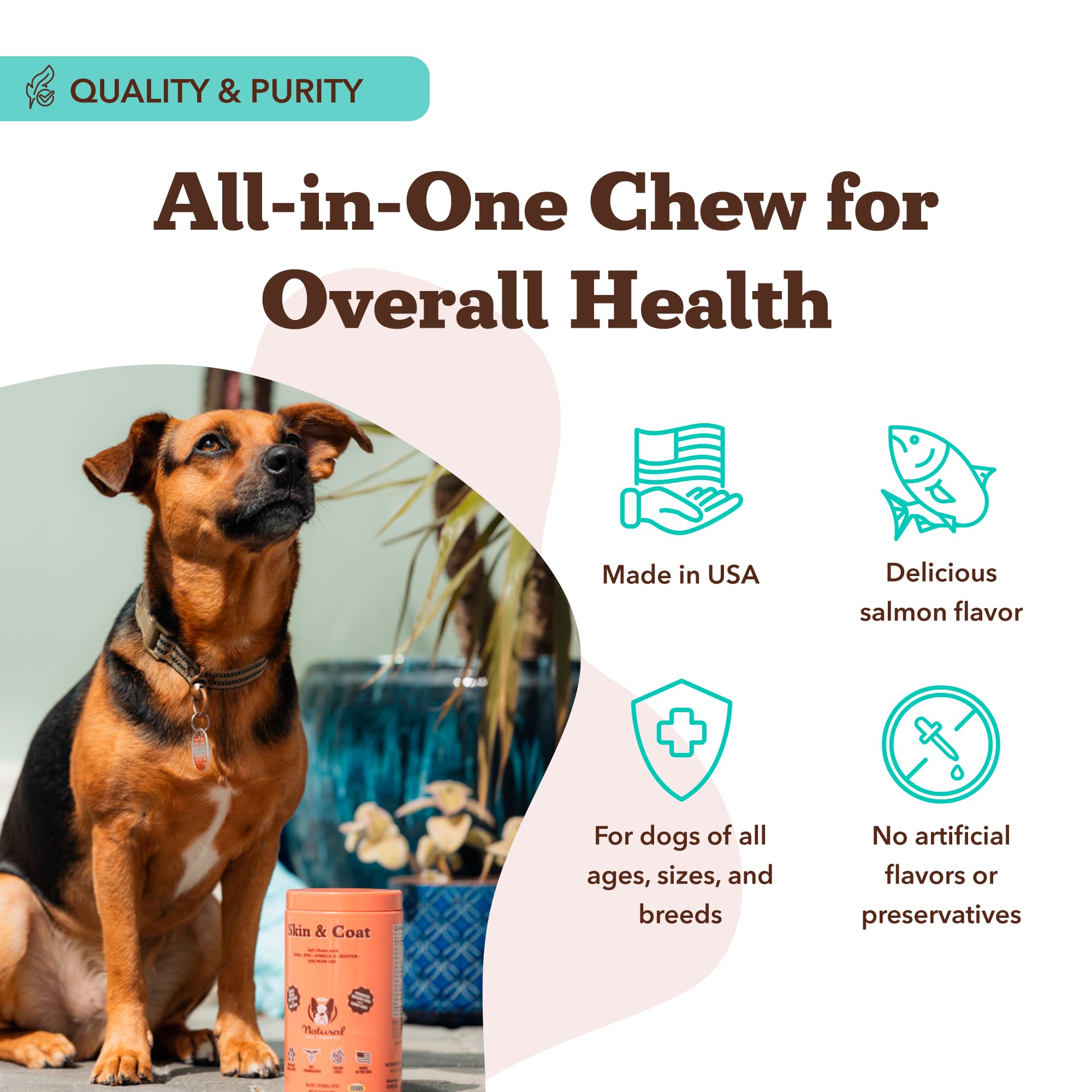 Natural Dog Company packaging display shows clean, grain-free formula