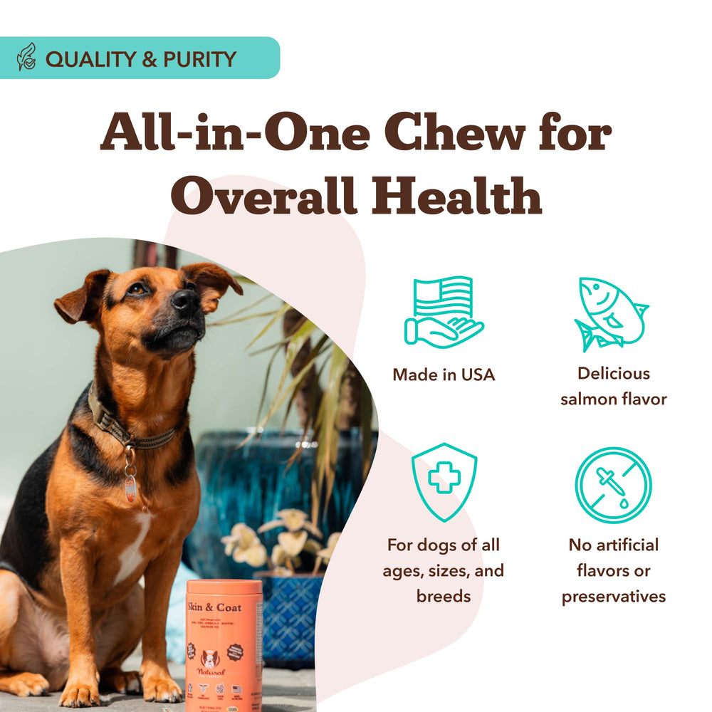 Natural Dog Company packaging display shows clean, grain-free formula