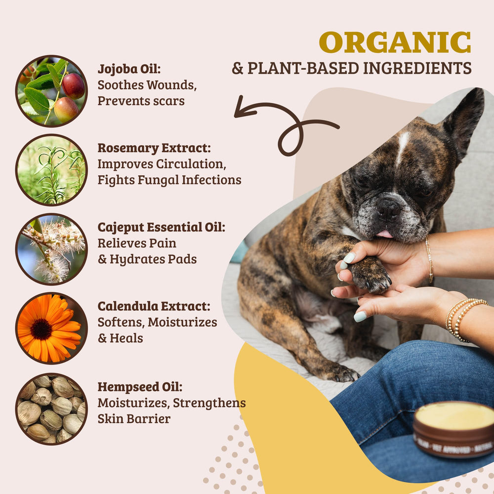 Natural Dog Company paw care paw pads texture close-up highlights creamy hydration.