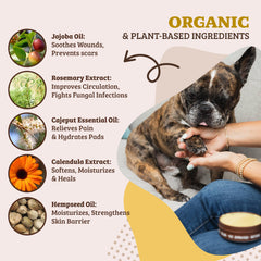 Paw Soother balm on a paw showing creamy texture for softness.