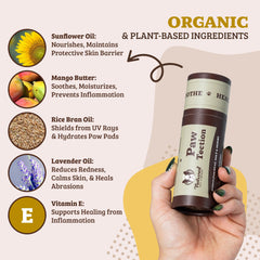 Natural Dog Company Pawtection Balm on paw demonstrates moisture and barrier formation.