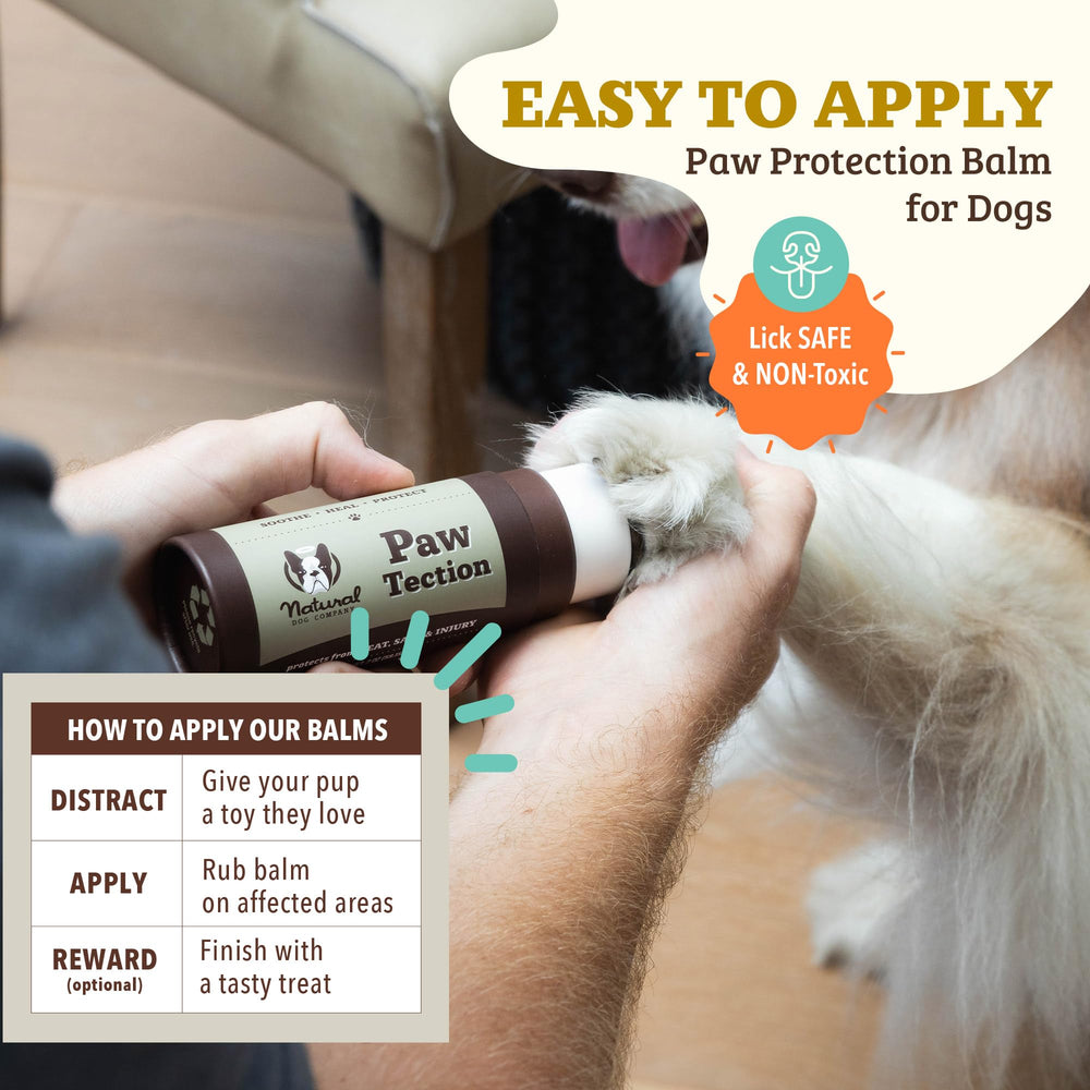 Natural Dog Company Pawtection Balm in snow scene shields from ice and salt.