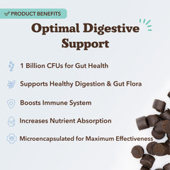 Natural Dog Company prebiotic fiber ingredient image with pumpkin and FOS for gut balance.
