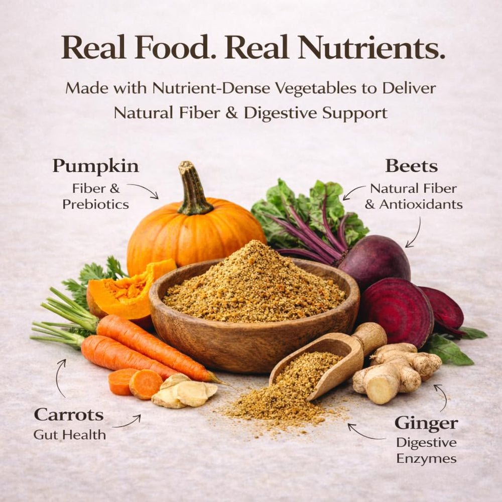 Natural Dog Company pumpkin-sweet-potato-ginger blend close-up highlighting antioxidants for vitality.