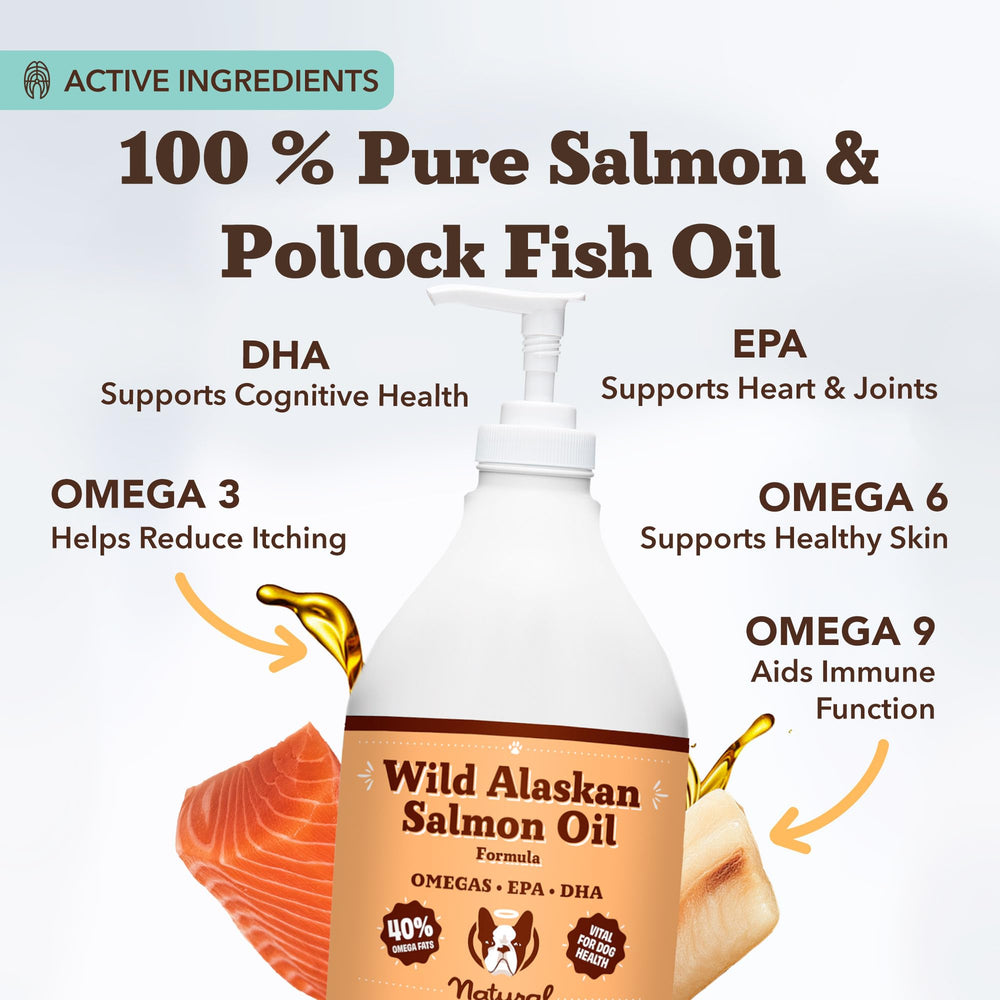 Natural Dog Company salmon oil close-up shows shiny coat and skin support