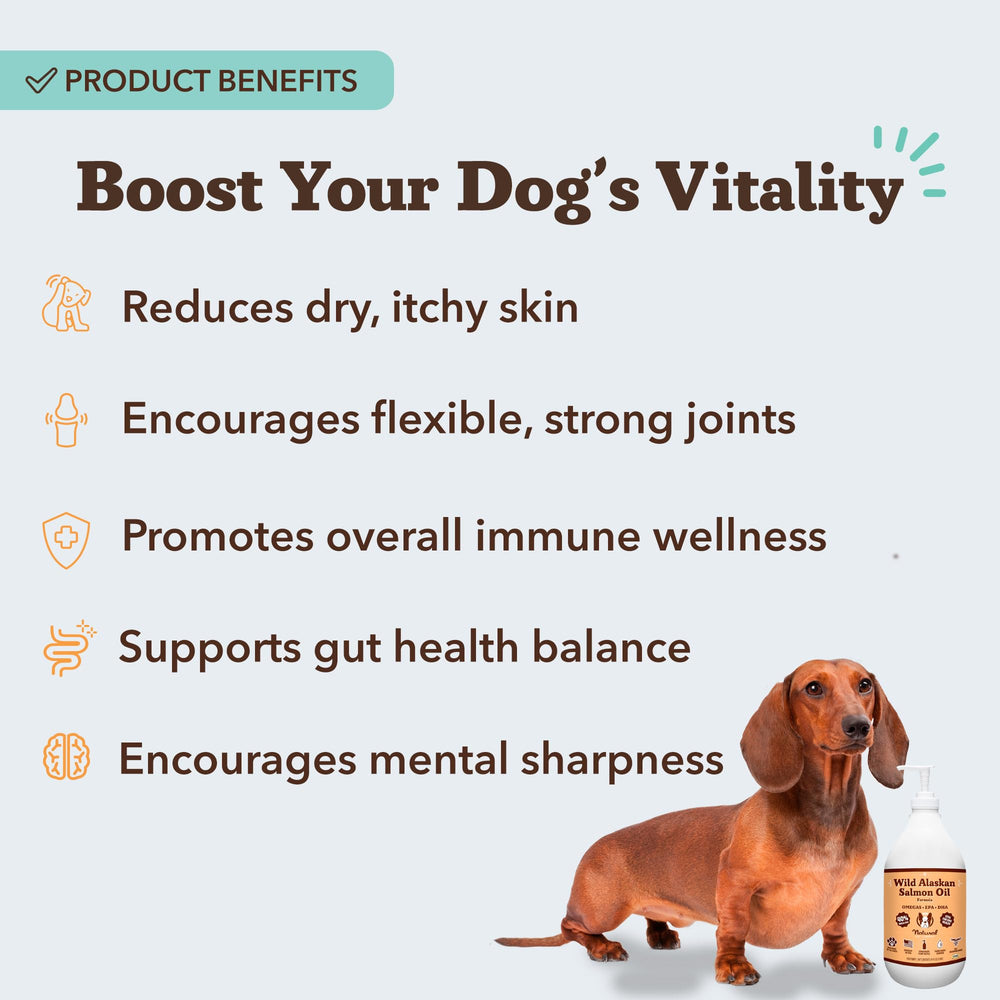 Natural Dog Company meal topper on dog food enhances flavor and nutrition