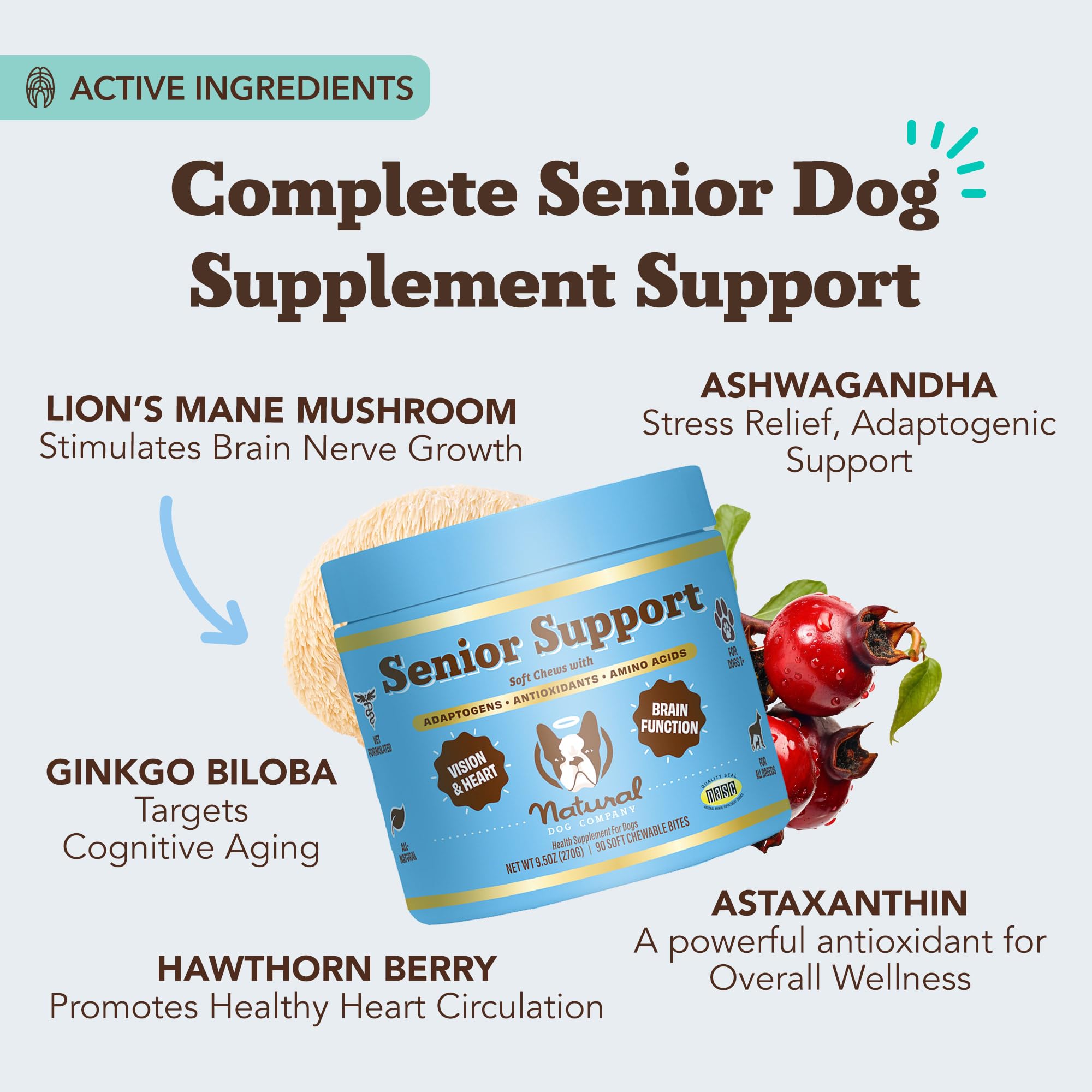 Natural Dog Company Senior Dog Vitamins Chew Lions Mane—supports memory and alertness.