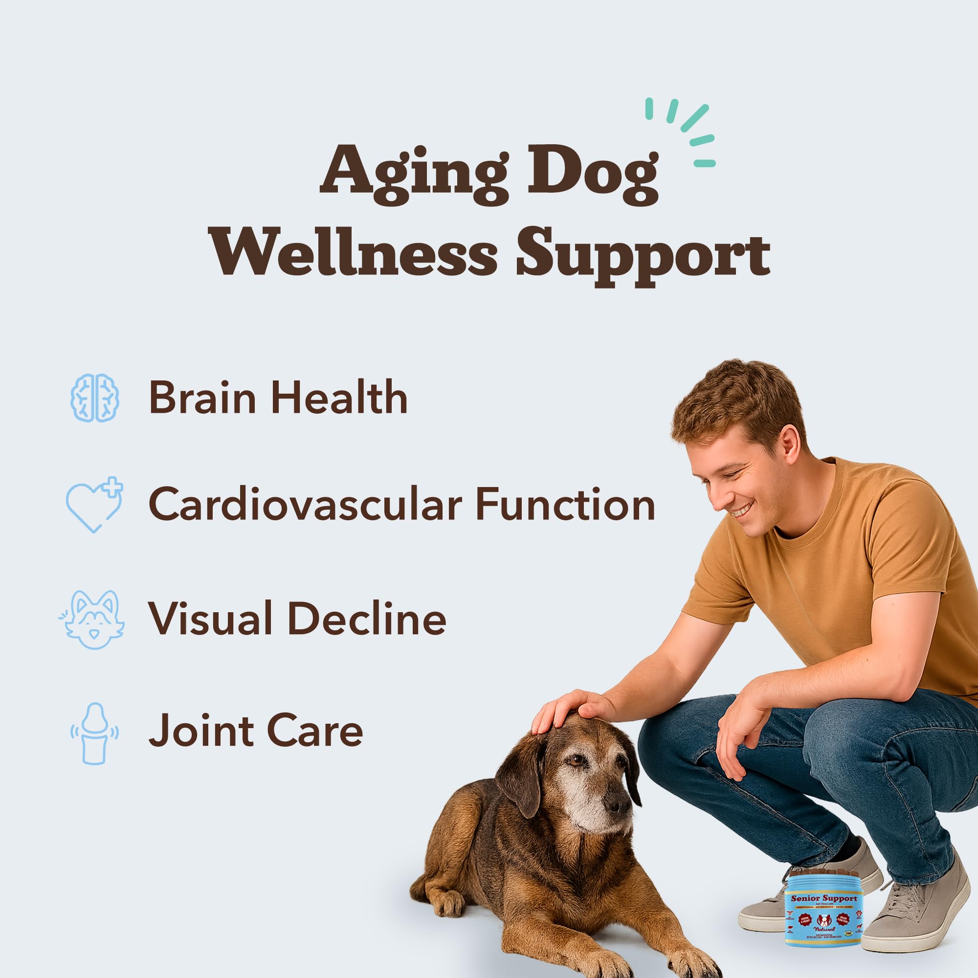 Natural Dog Company Senior Dog Vitamins Chew serving—easy daily treat that supports focus.