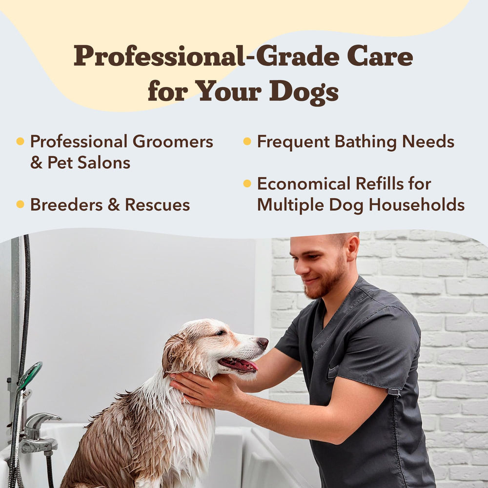 Natural Dog Company Sensitive Skin Shampoo coconut oil hero image highlighting conditioning benefits