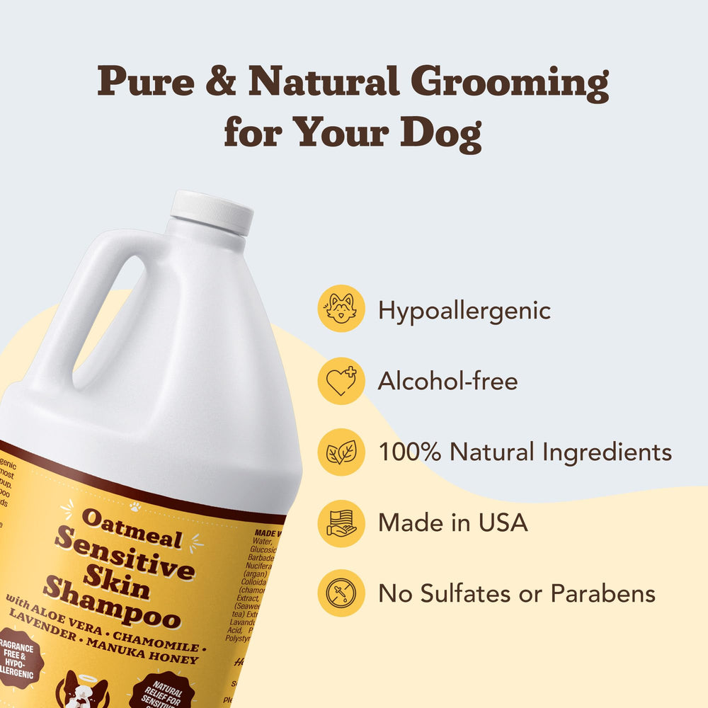 Oatmeal and aloe visual emphasis in Natural Dog Company shampoo