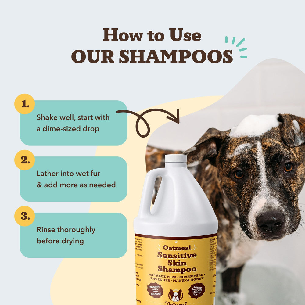 Puppy-friendly bathing moment with Natural Dog Company Sensitive Skin Shampoo