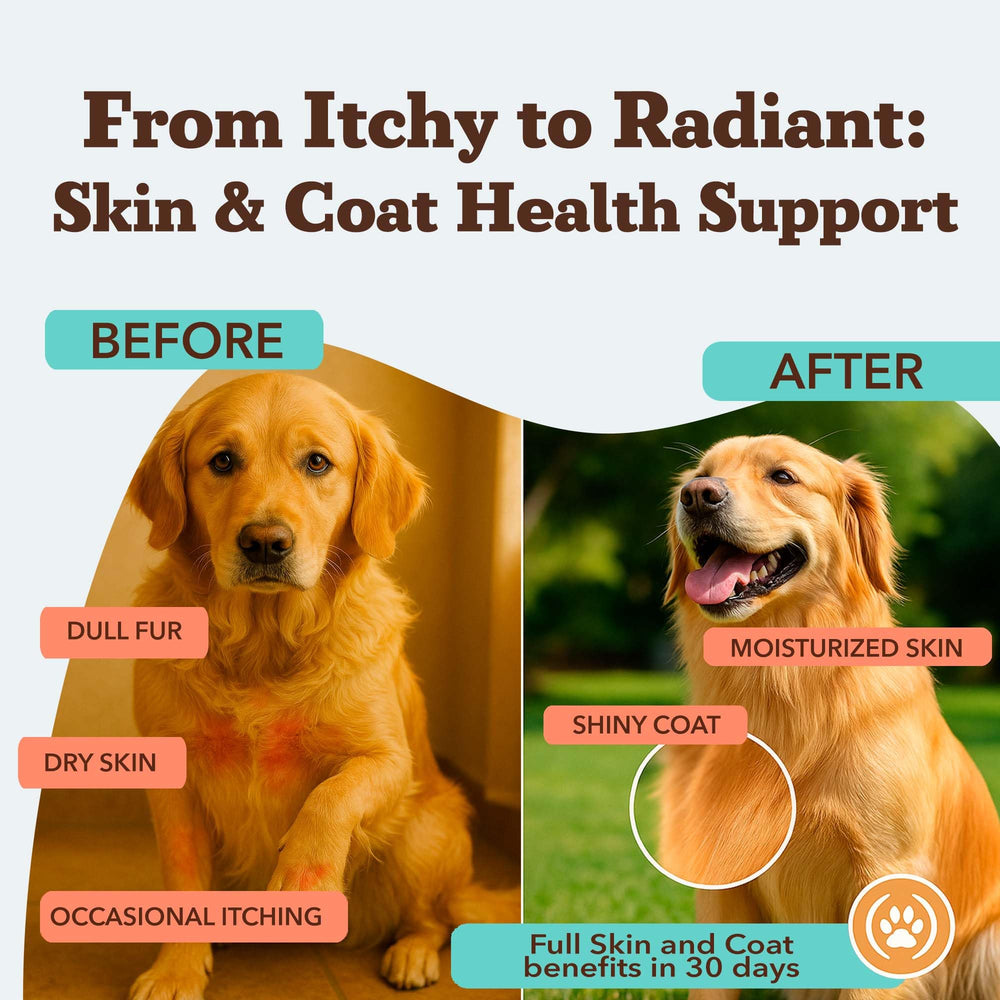 Natural Dog Company Skin & Coat closeup highlighting omega formula