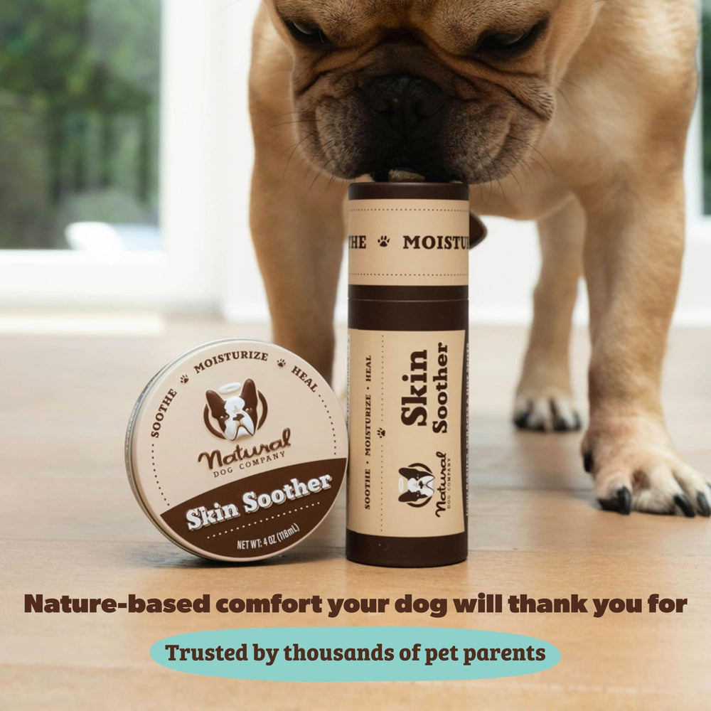 Natural Dog Company Skin Soother Balm after bath, ideal post-grooming moisture restoration.