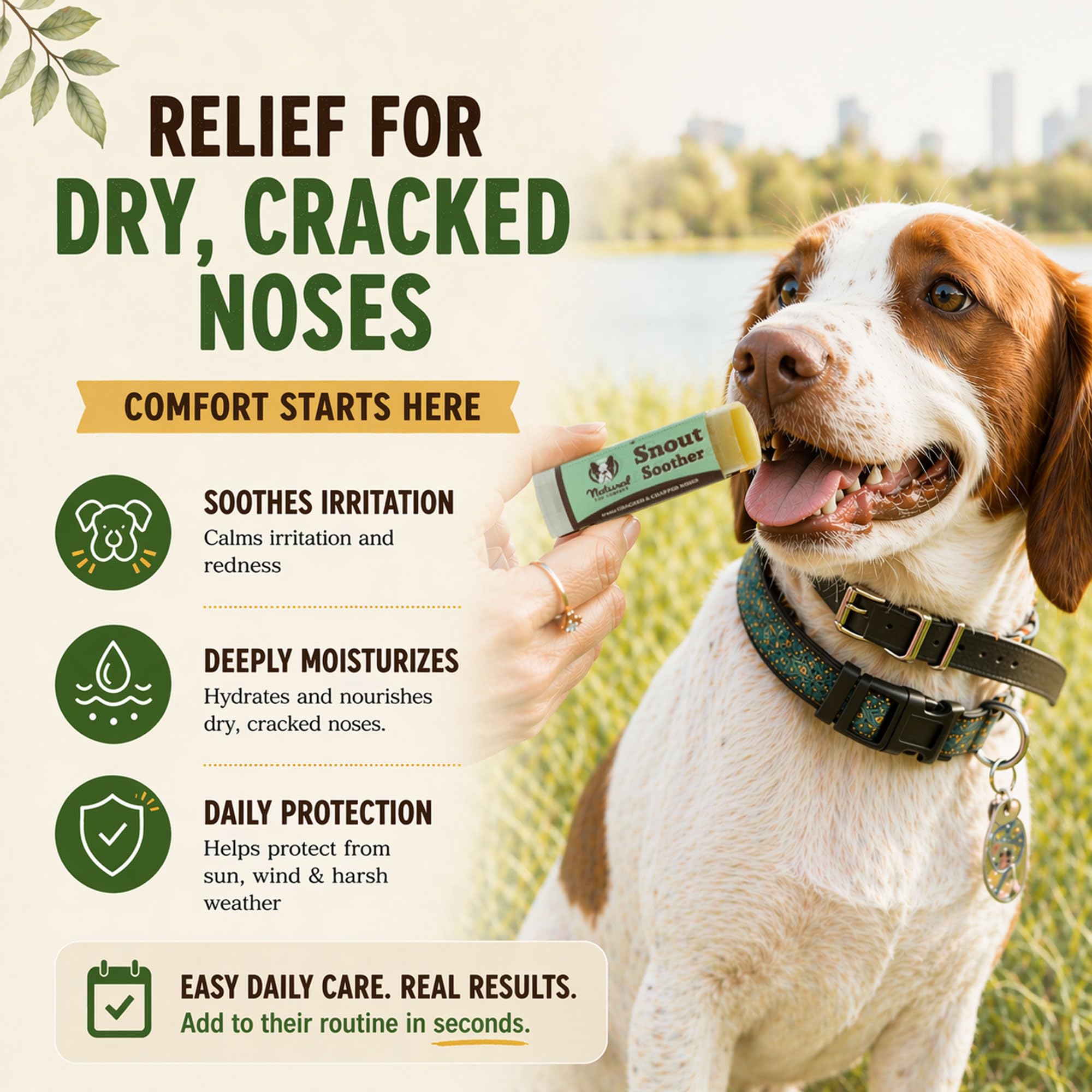 Flat-faced breeds like French Bulldog benefit from Snout Soother care