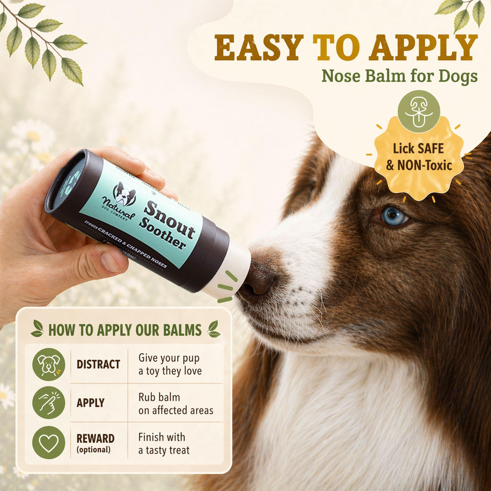 Natural Dog Company Snout Soother daily routine supports consistent nose care.