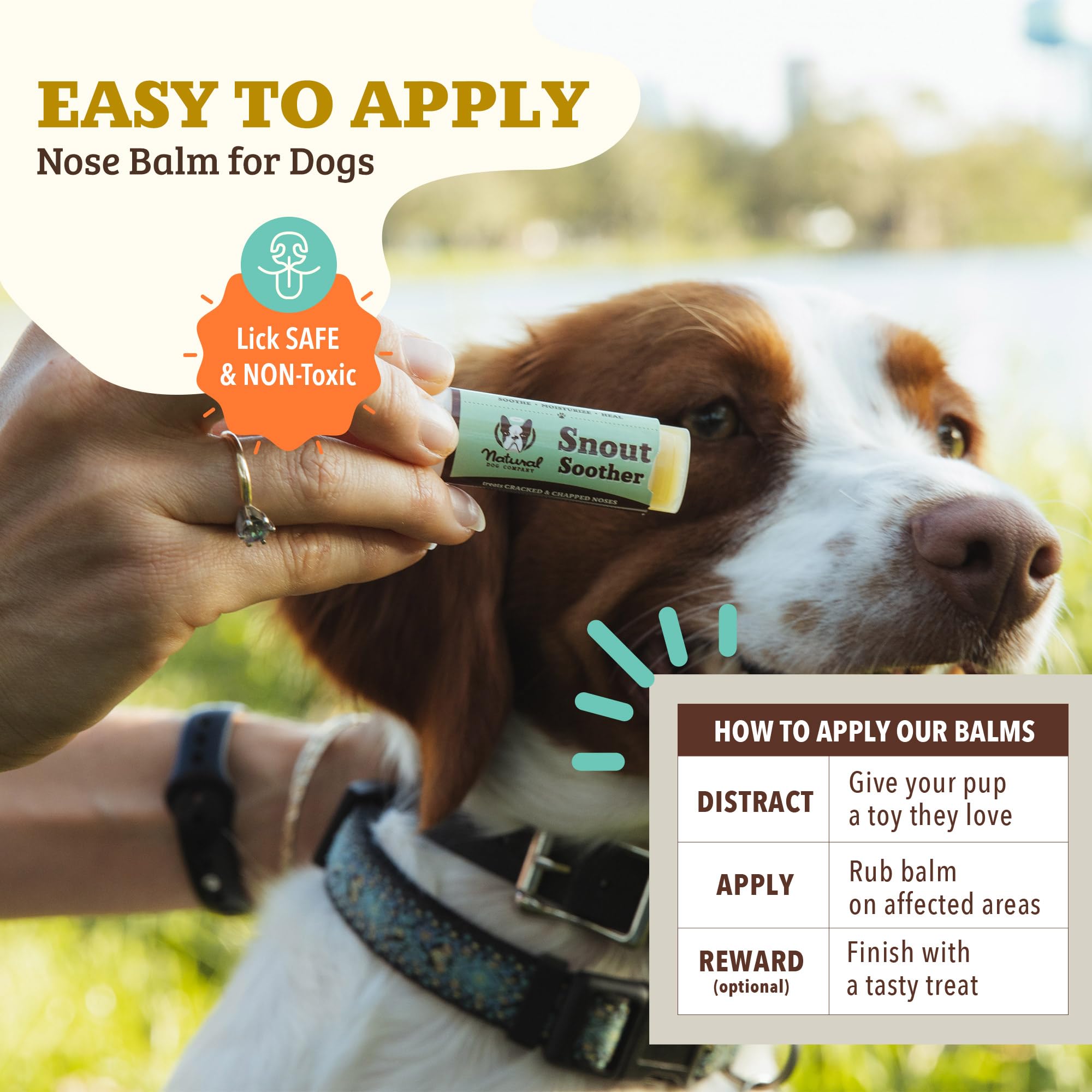 Dog nose during application of Natural Dog Company Snout Soother
