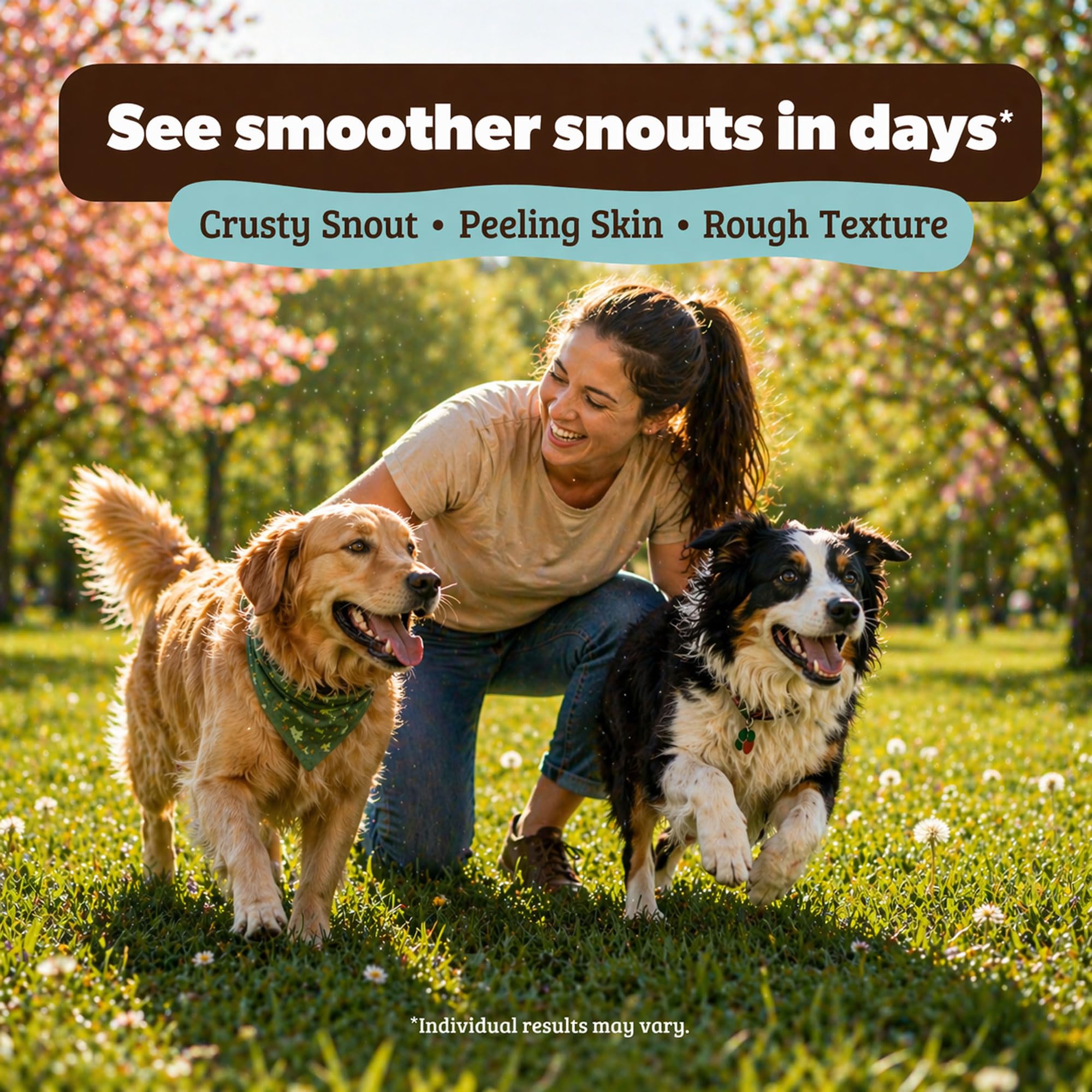 Natural Dog Company Snout Soother store display on shelf.
