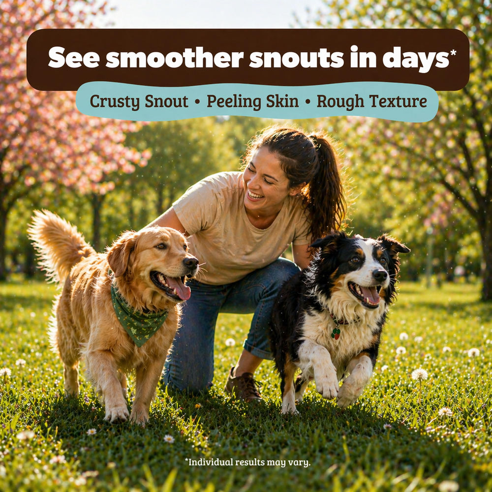 Natural Dog Company Snout Soother store display on shelf.