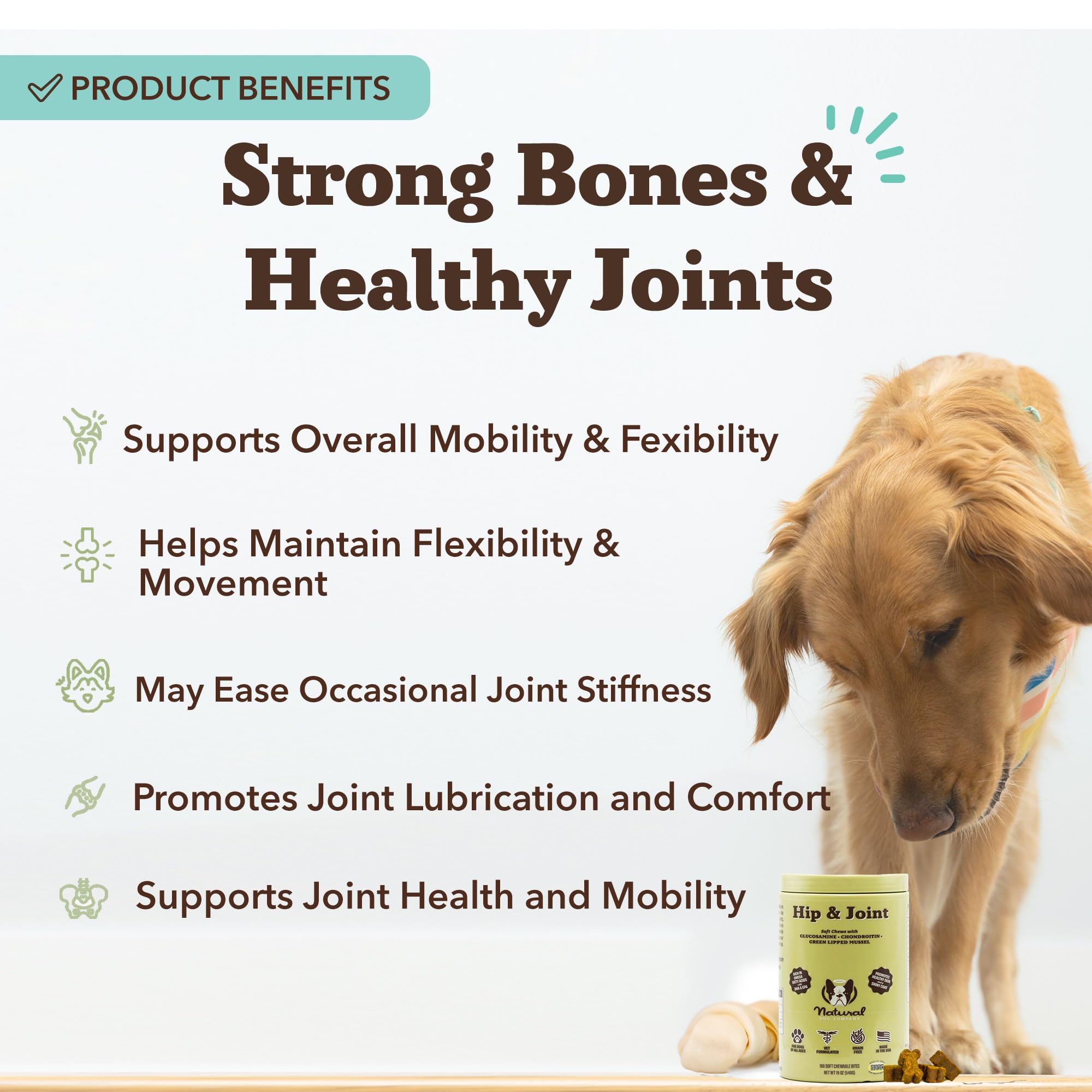 Soft chews closeup from Natural Dog Company for picky eaters.