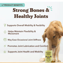 Soft chews closeup from Natural Dog Company for picky eaters.