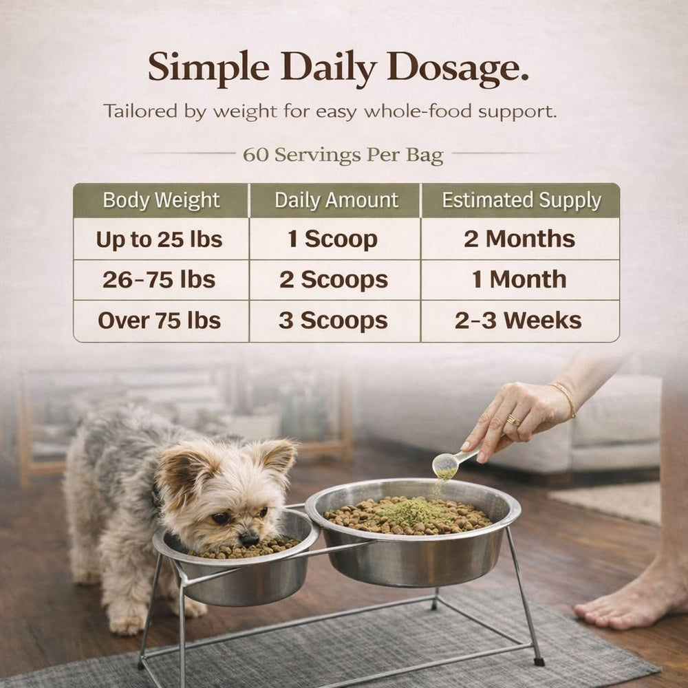 Natural Dog Company Super Greens label highlights no fillers and eco packaging