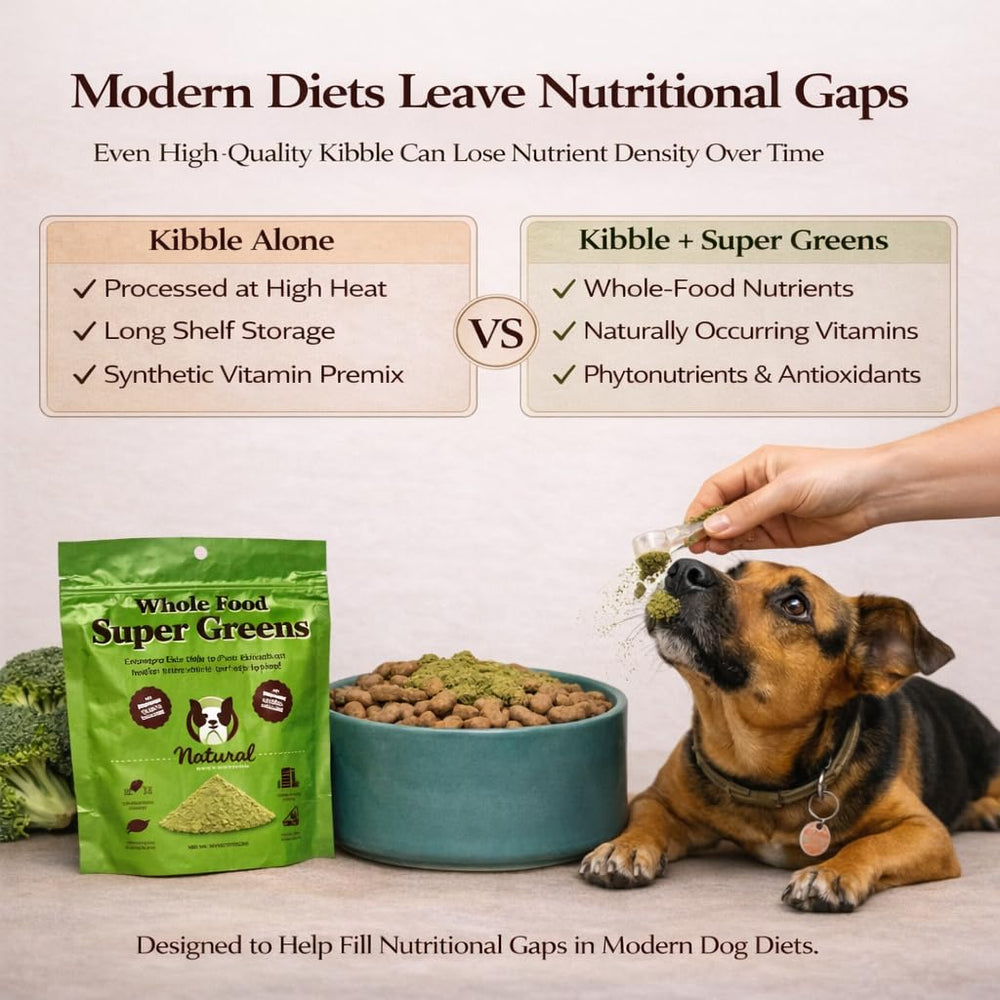 Natural Dog Company Super Greens on wet food for convenient meal enhancement