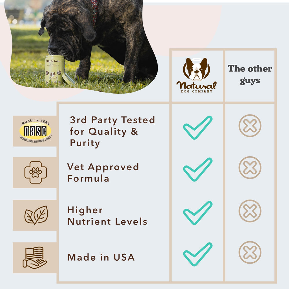Turmeric and omega ingredients from Natural Dog Company for joint comfort.