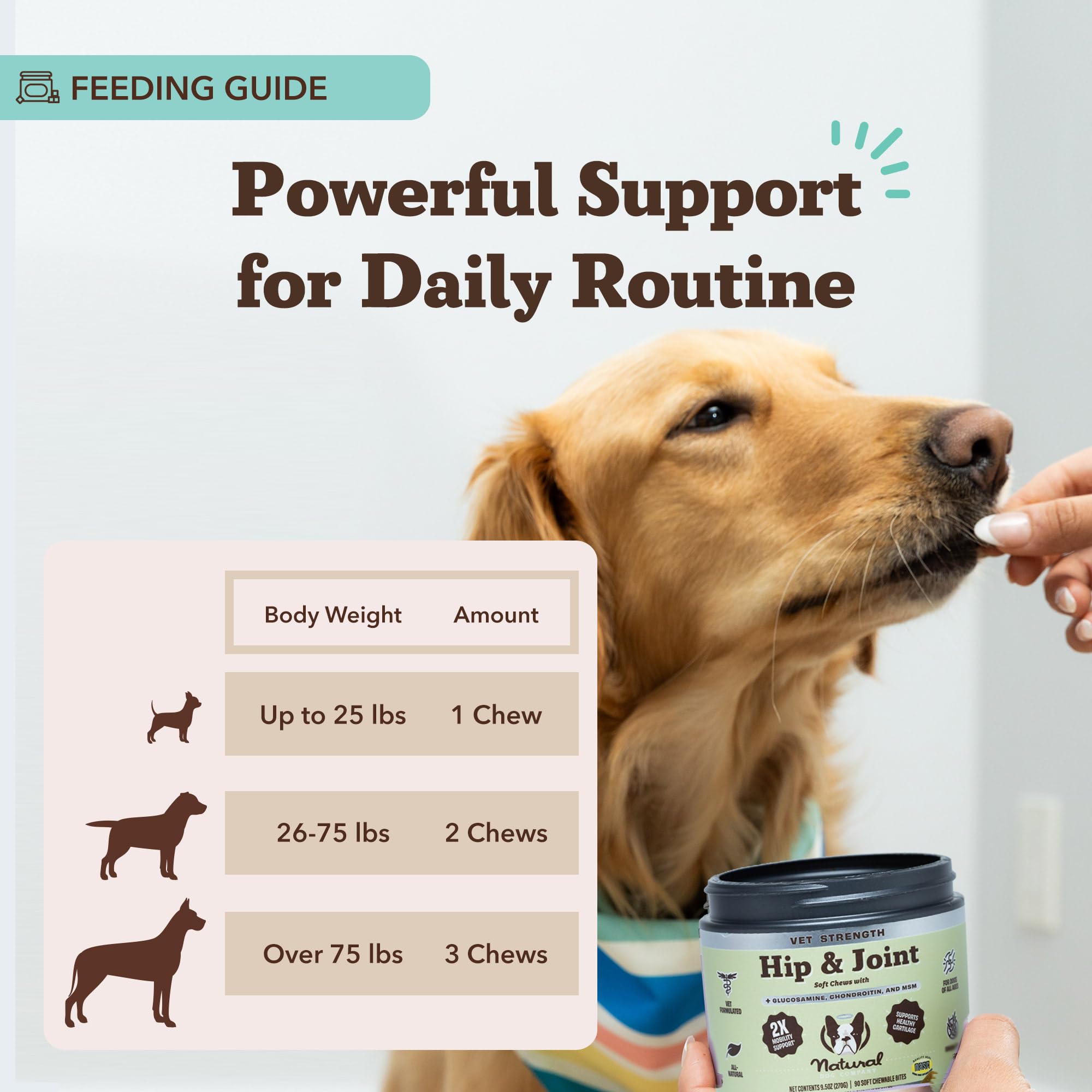 Natural Dog Company Vet Strength Hip & Joint Chews elderly dog walking demonstrates mobility in action