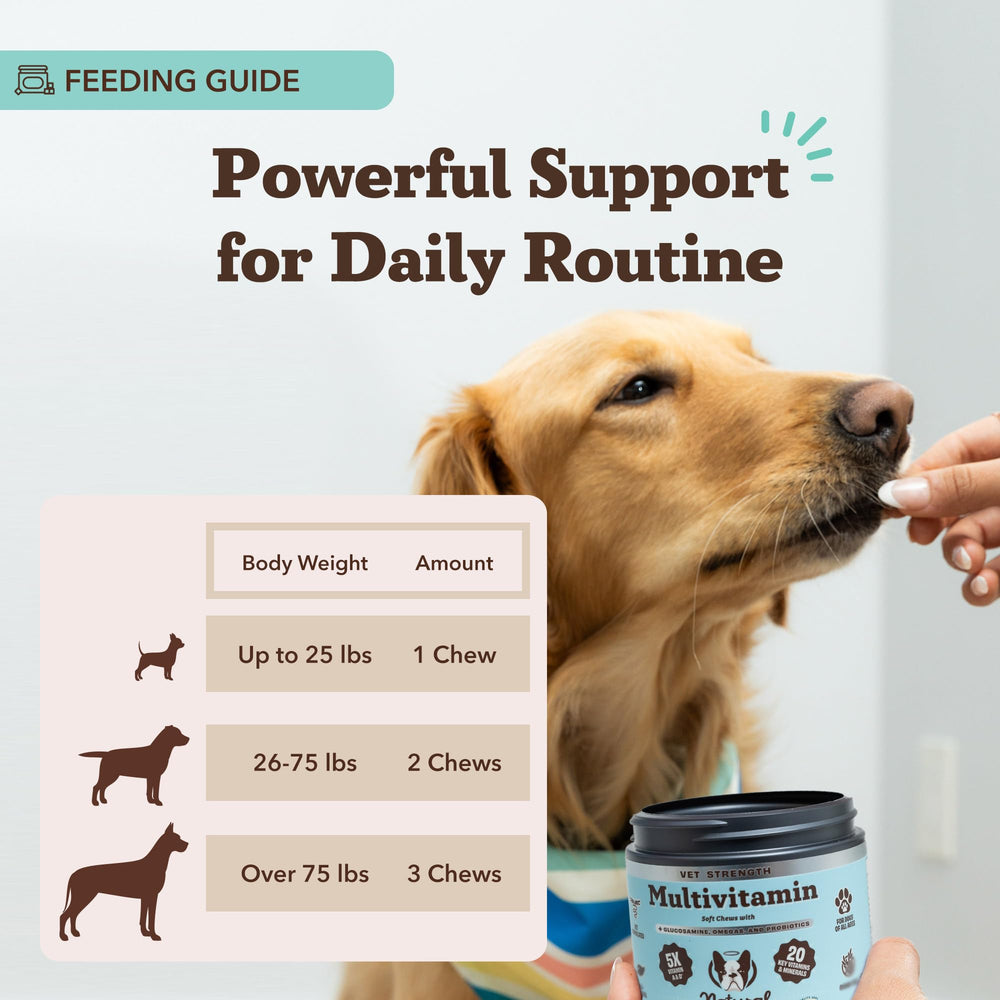 Omega-rich salmon oil image promoting coat health and skin care