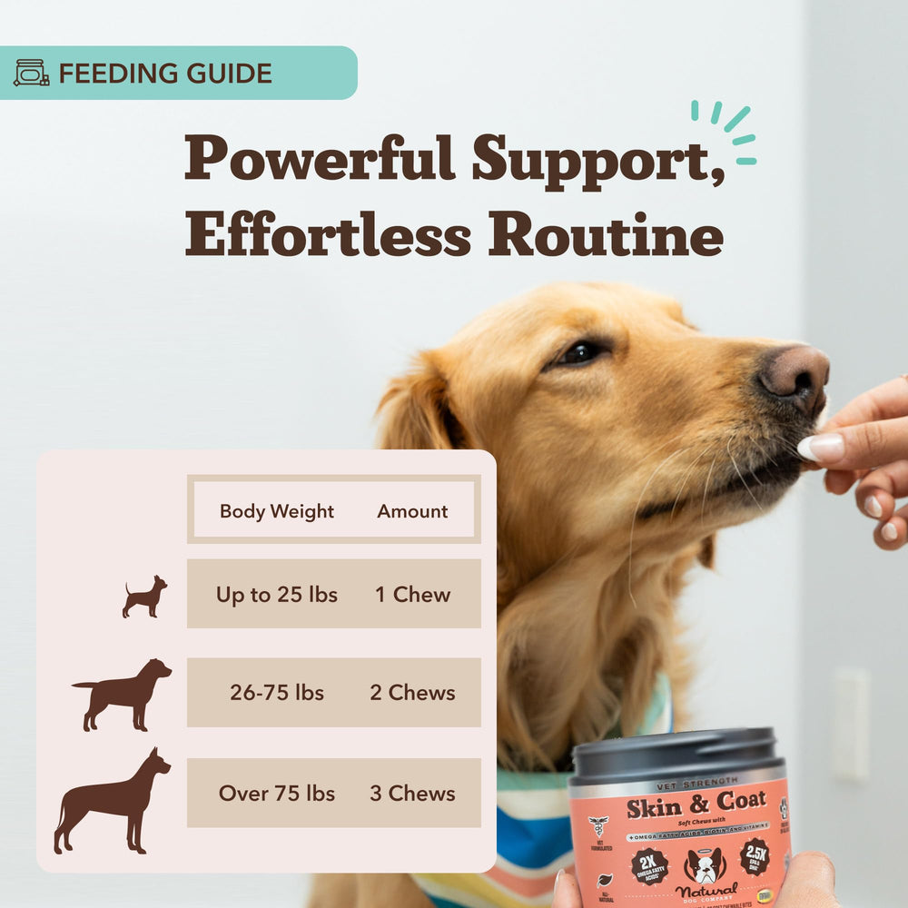 Natural Dog Company Vet Strength Omega Skin & Coat Chews highlighting essential ingredients for skin and coat