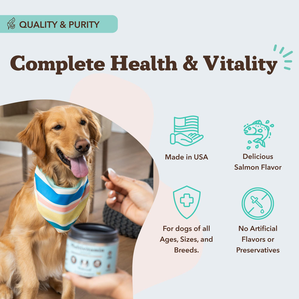 Senior dog using Vet Strength soft chew for ongoing wellness
