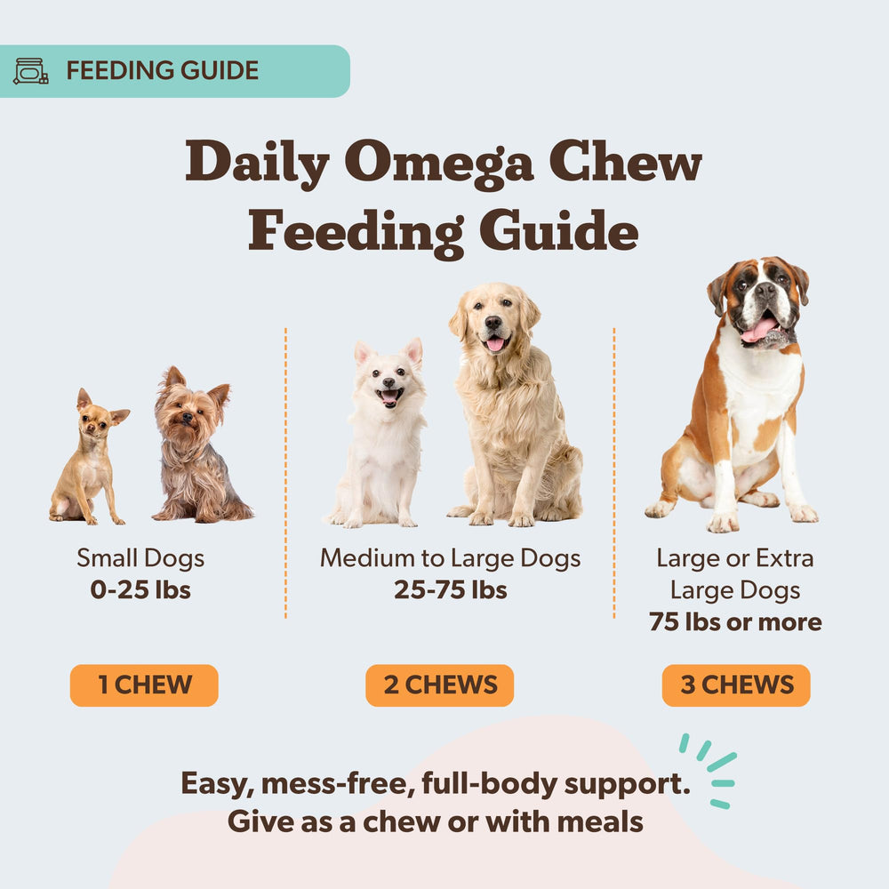 Natural Dog Company Wild Alaskan Salmon Chews on a shelf with healthy coat reminder.