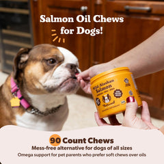 Natural Dog Company Wild Alaskan Salmon Chews label highlights premium Alaskan salmon omega-3s.