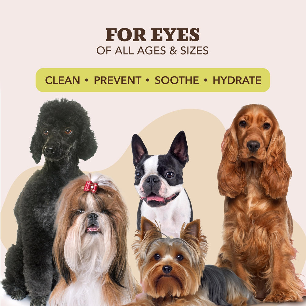 Natural Dog Company hypoallergenic wipes for sensitive areas and daily wrinkle care.