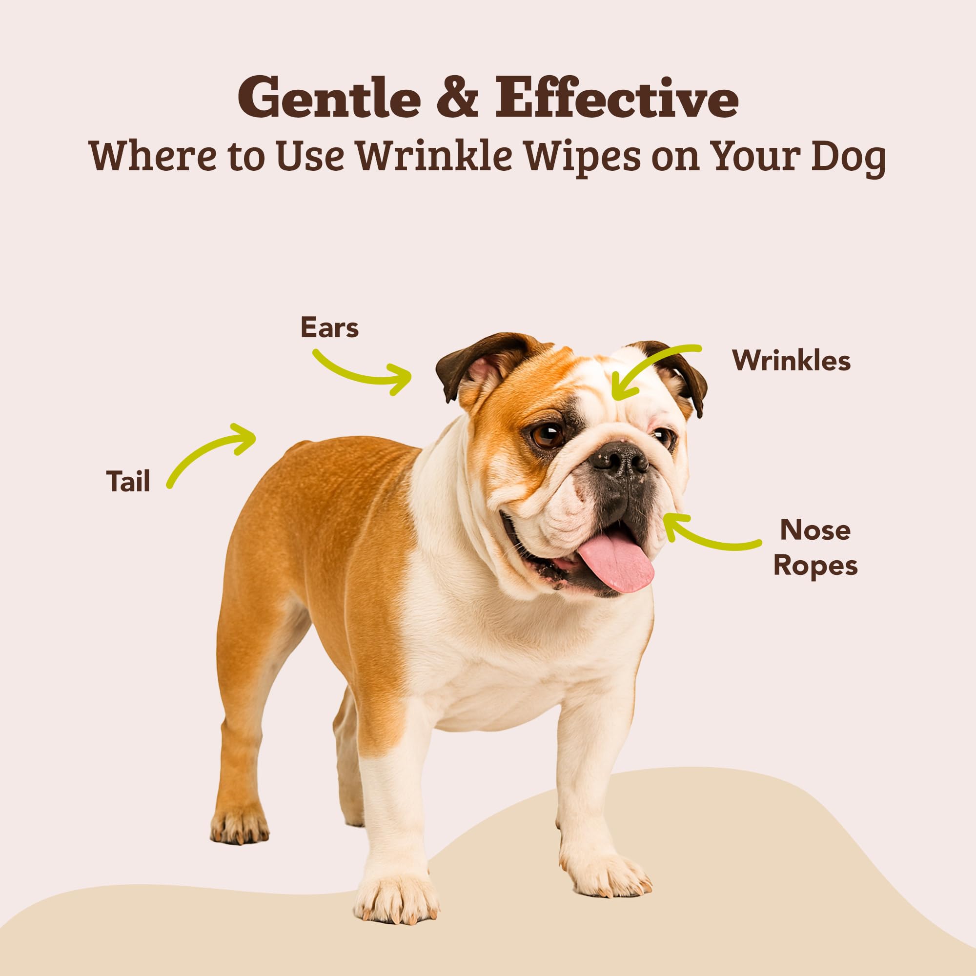 Natural Dog Company jar-pack wrinkle wipes, resealable lid for easy on-the-go care.