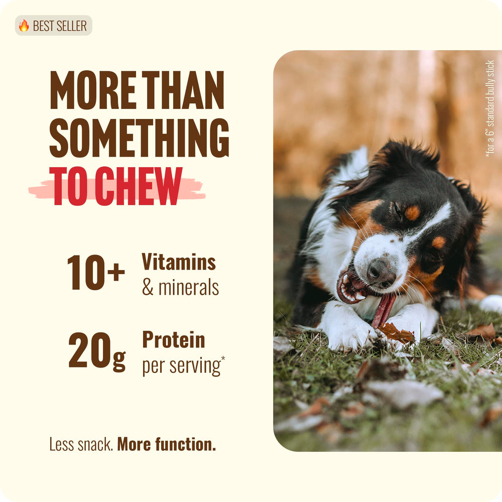 Natural Farm 1-lb bag of bully sticks ideal for training and rewards.