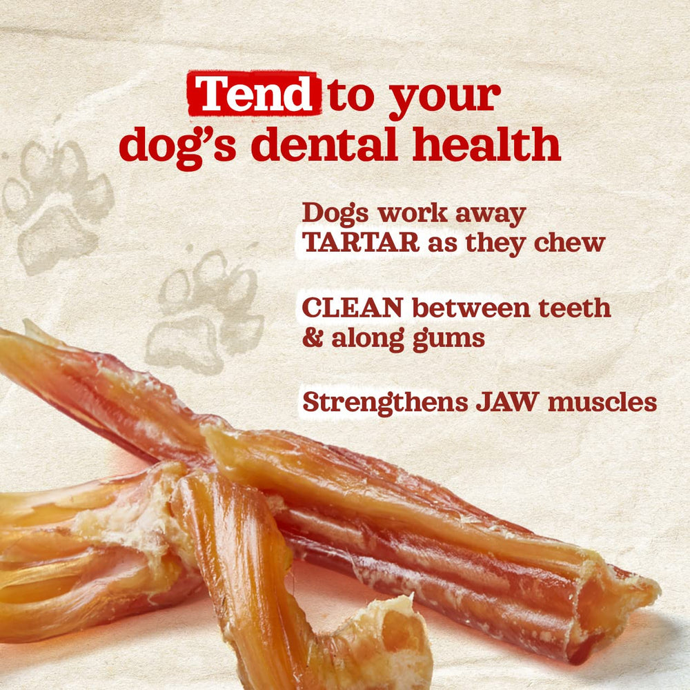 Natural Farm beef tendons dog-chewing action demonstrates potential dental benefits.
