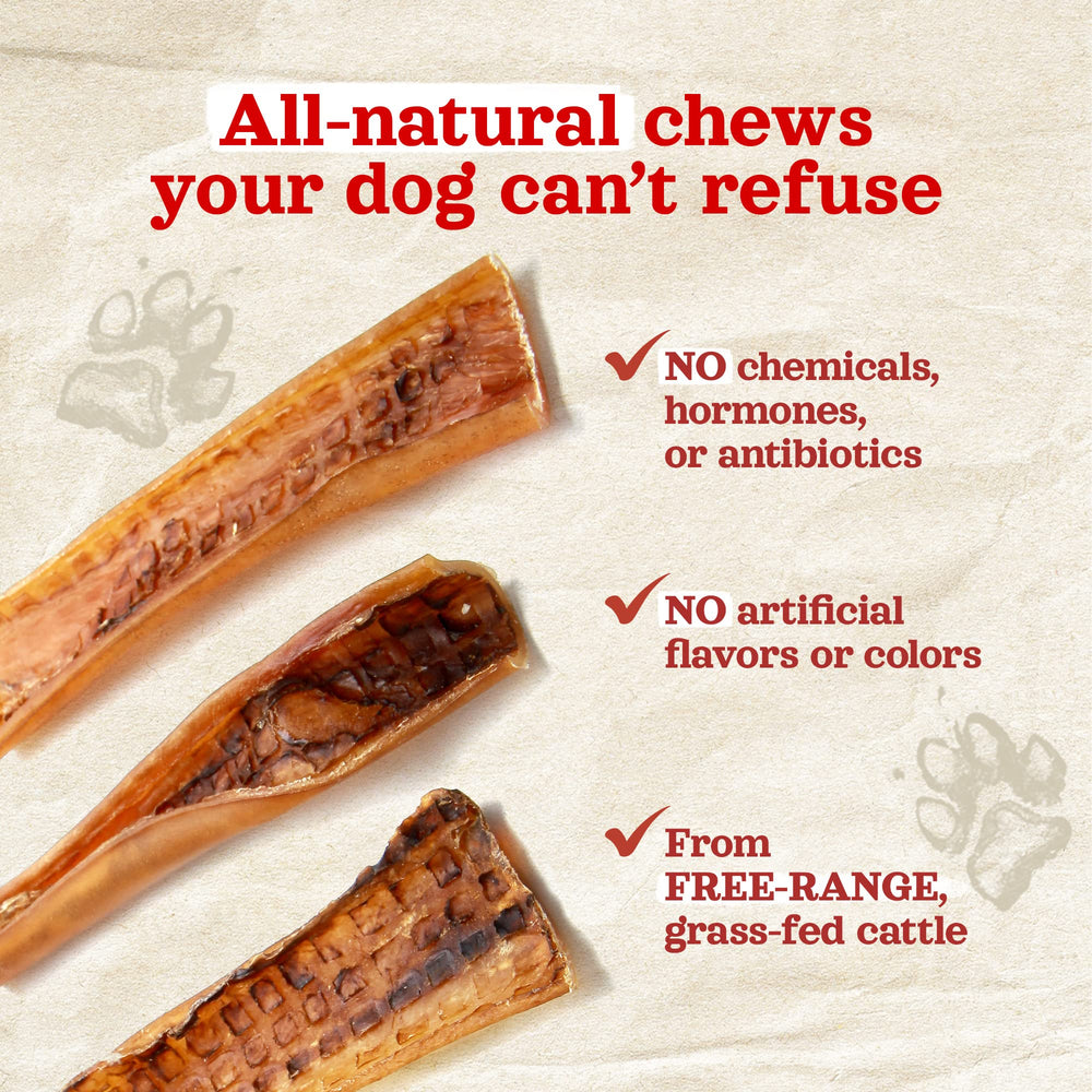 Natural Farm Bully Chips grain-free non-GMO formula shown