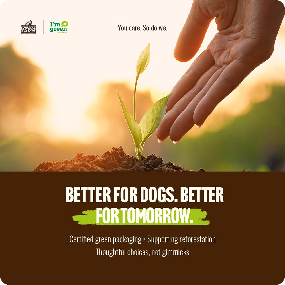 Proceeds support shelters and pets in need
