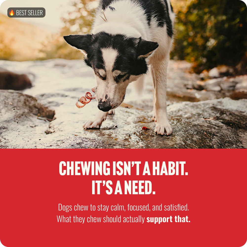 Natural Farm supports shelters with donations for pets in need.